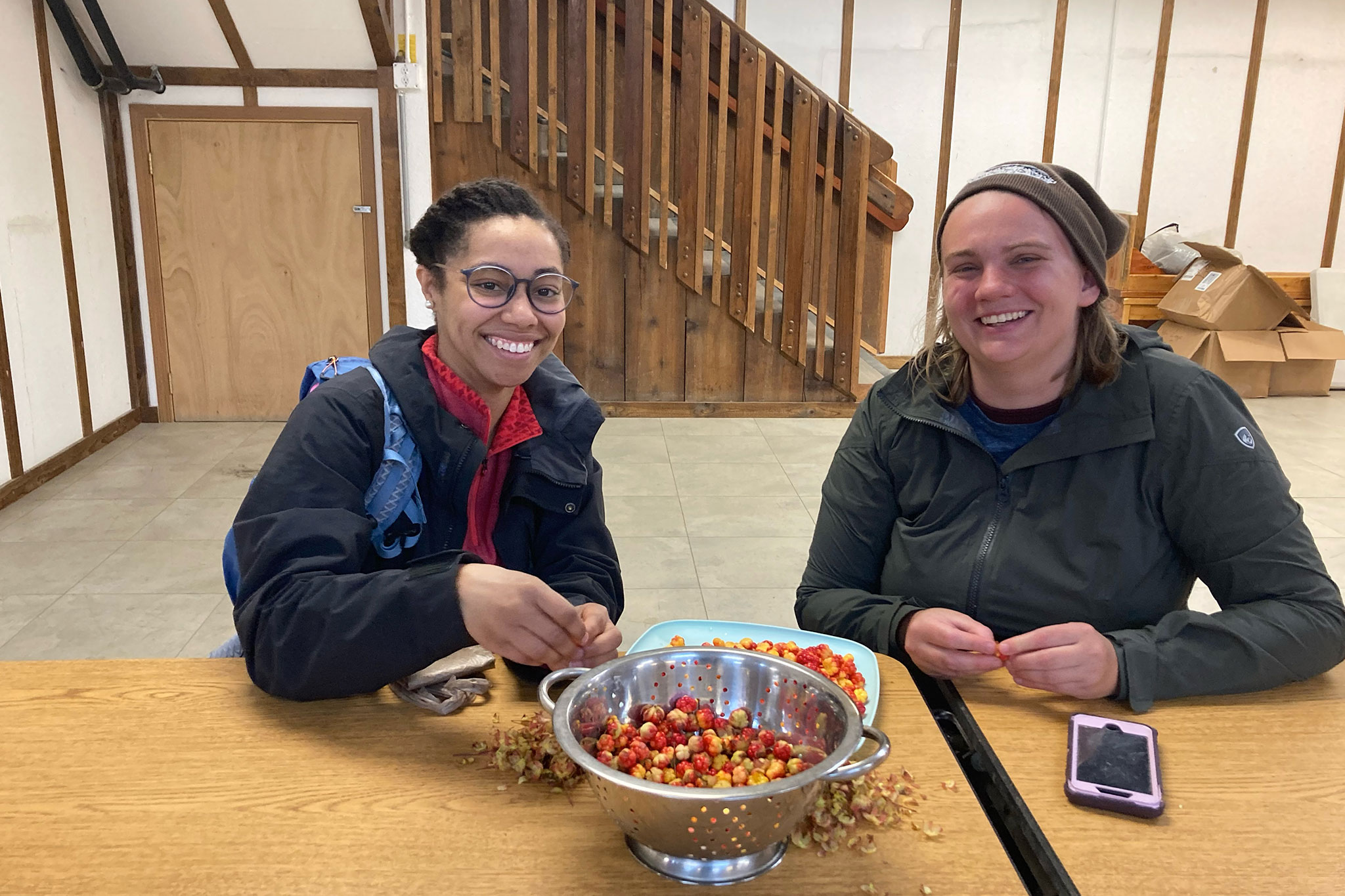 USDA Salmon Berry Project – 2024