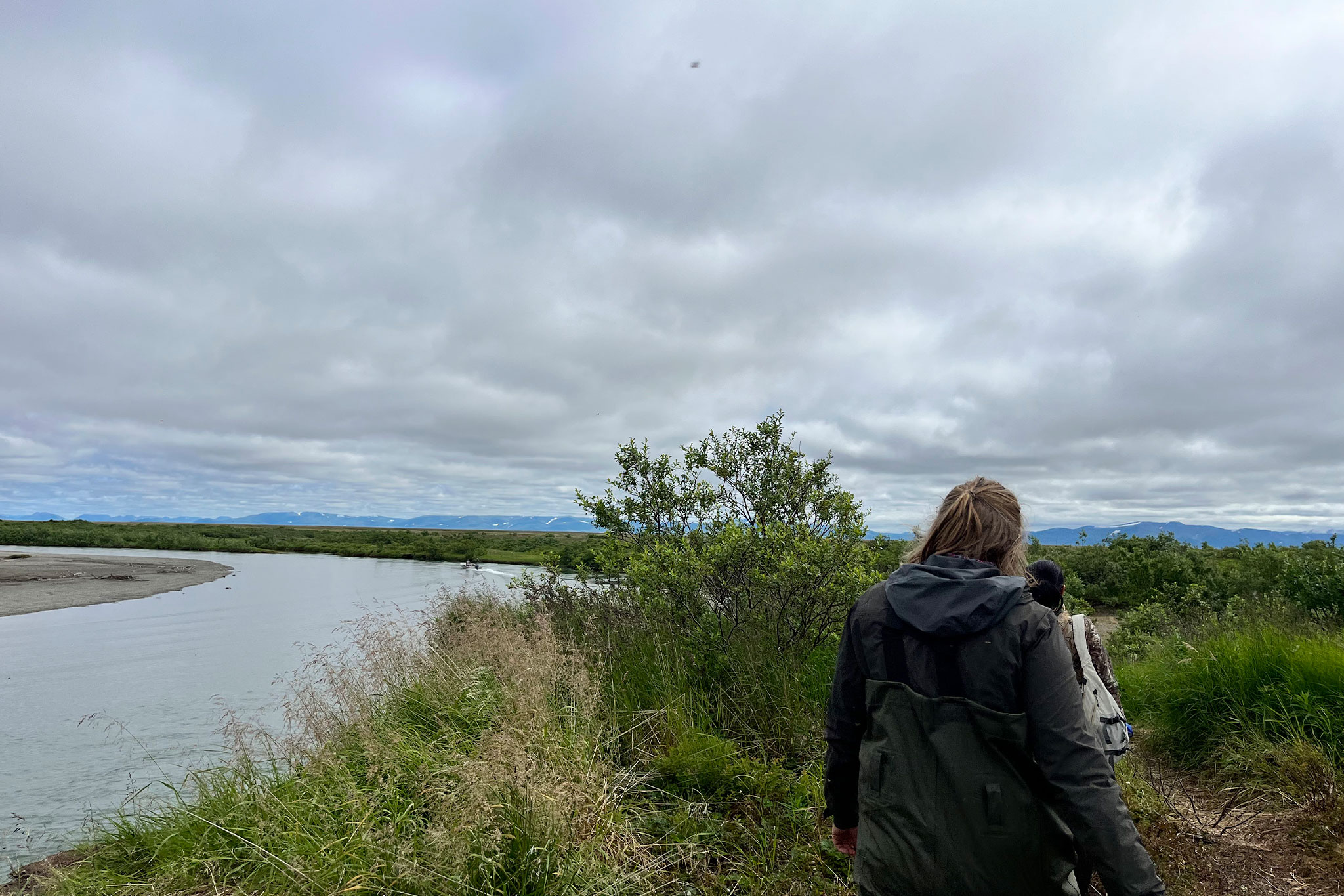 USDA Salmon Berry Project – 2024
