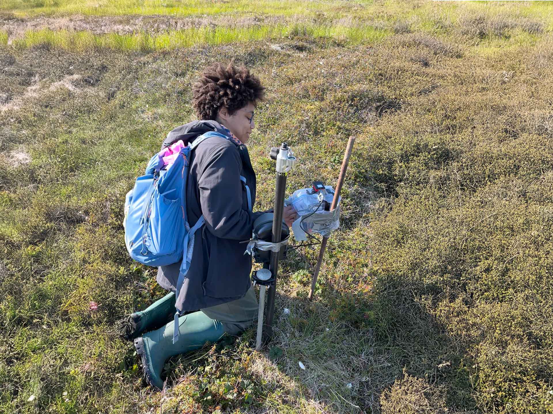 USDA Salmon Berry Project – 2024