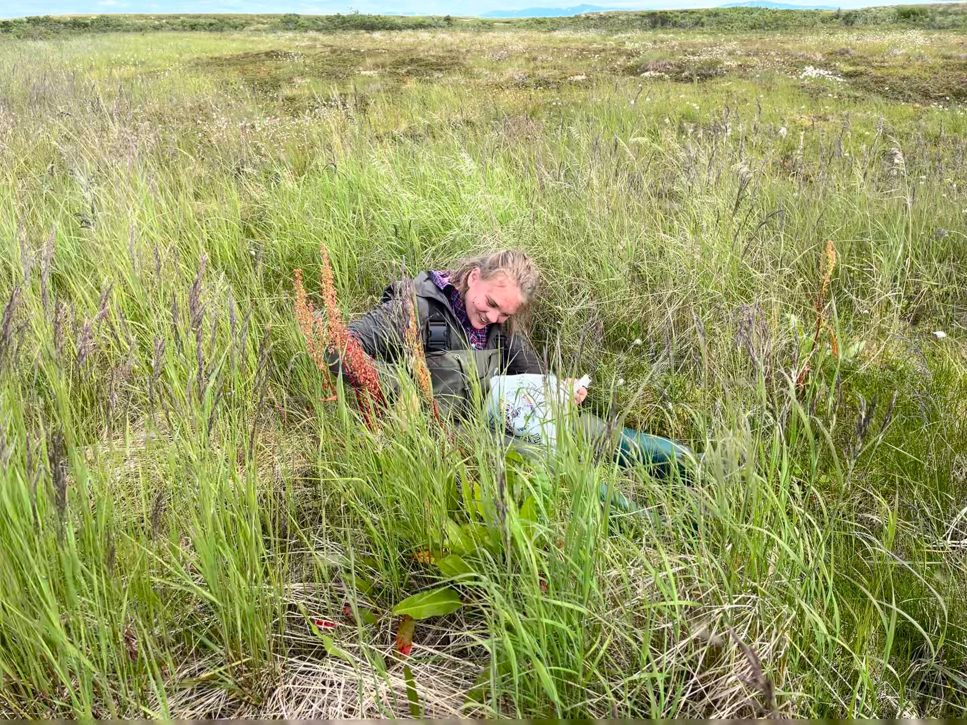USDA Salmon Berry Project – 2024