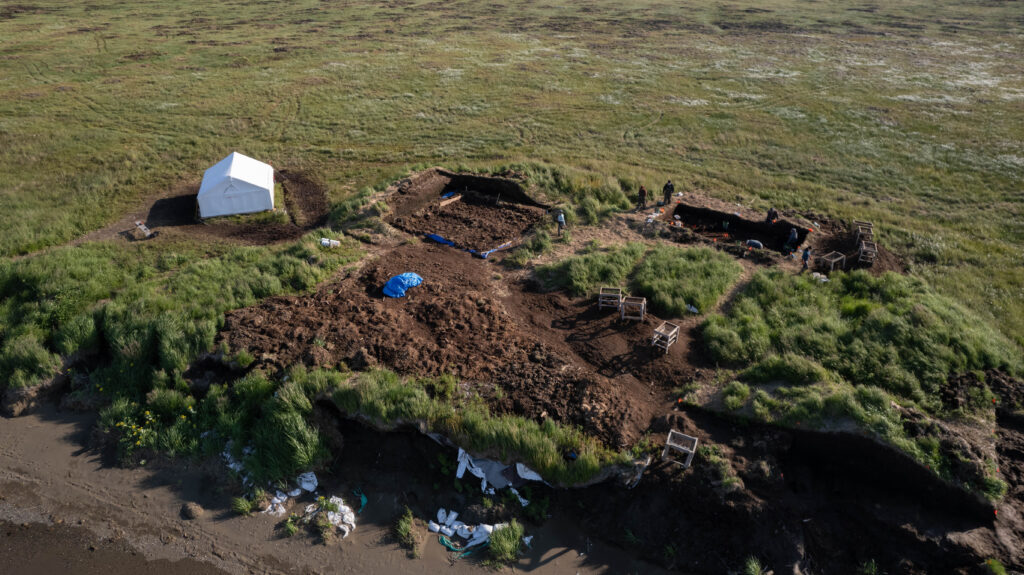 Nunalleq Archaeology – 2024 3