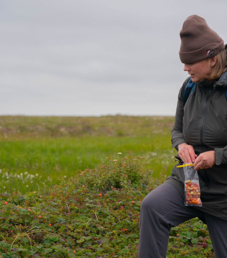 USDA Salmon Berry Project – 2024.mp4