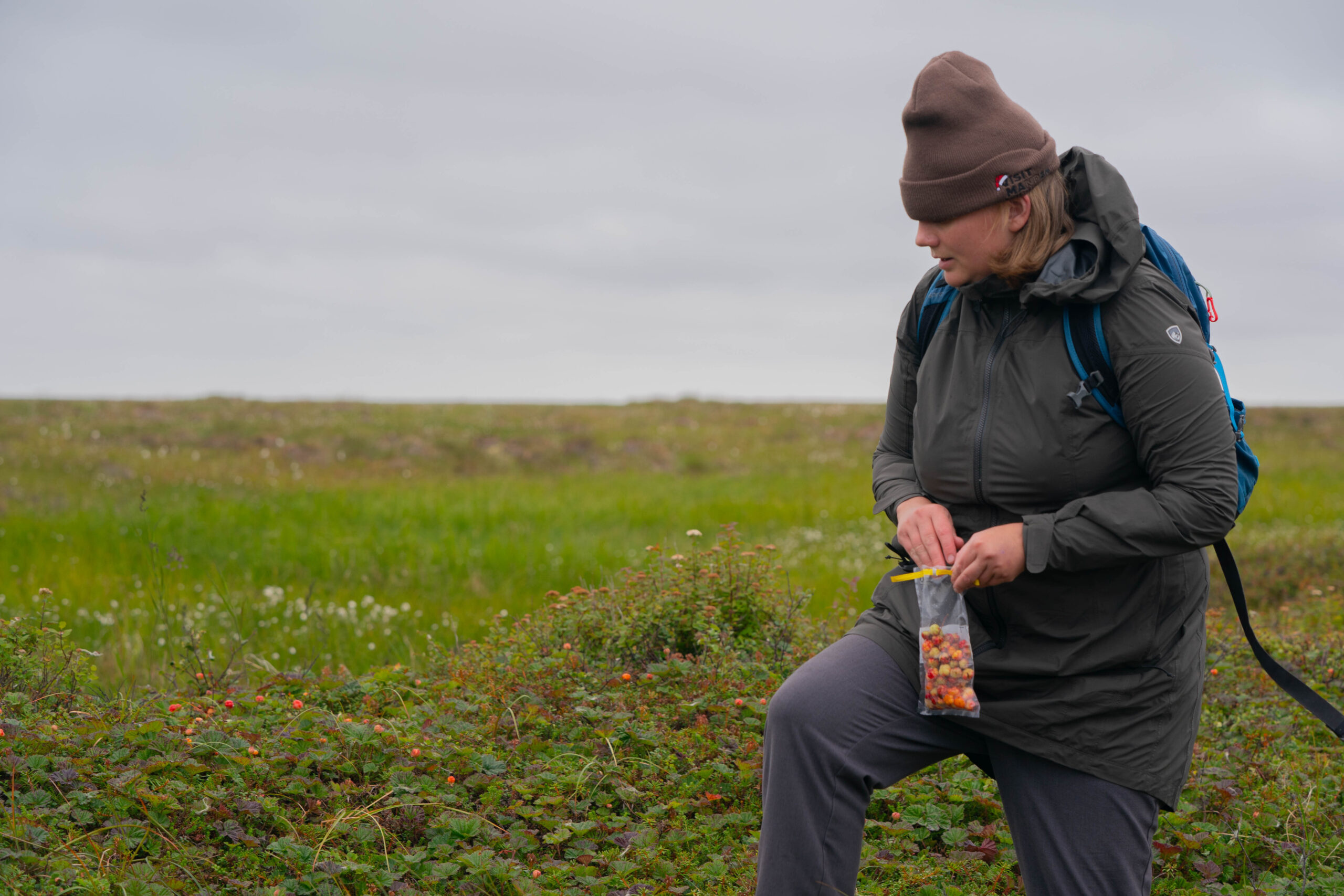 USDA Salmon Berry Project – 2024.mp4